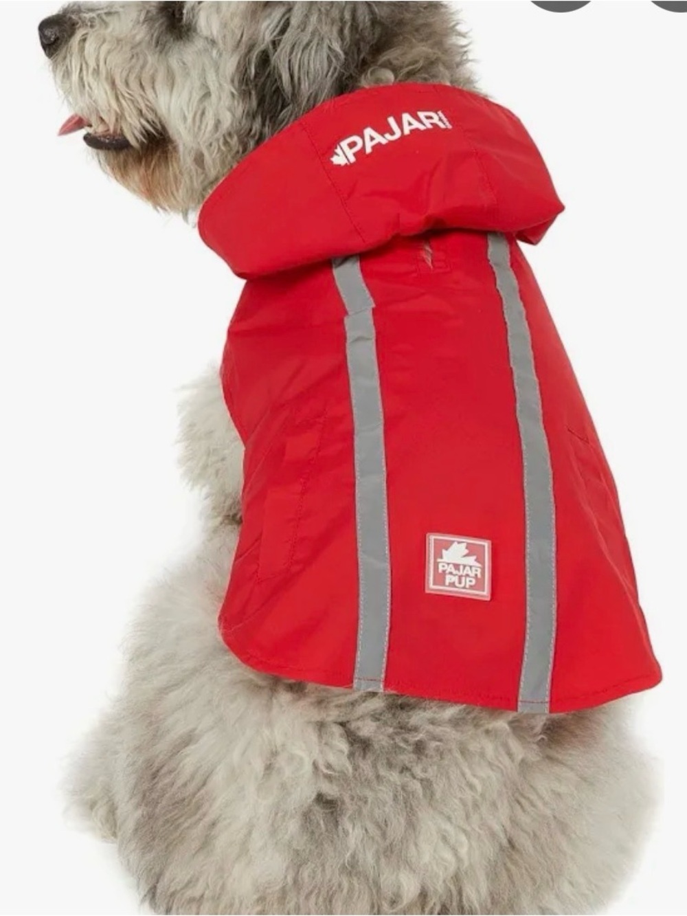 Small dog accessories - Picture 5 of 10
